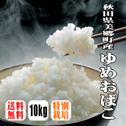 【送料無料】【特別栽培米】【令和5年産】「箱入り娘」秋田県美郷町産ゆめおばこ 10kg(5kg×2)【沖縄県・離島は別途送料】満天★青空レストラン ゆめおばこ 秋田県産 テレビ 真空パックのサムネイル