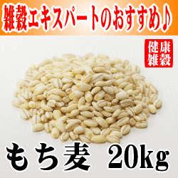 【業務用】【はくばく】もち麦 20kg【食物繊維】【βグルカン】【梅沢富美男のズバッと聞きます！】【名医のTHE太鼓判】【日本一受けたい授業】