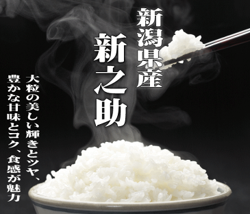 【送料無料】【令和1年産】新潟県産 新之助　玄米20kg（5kg×4）【北海道・沖縄県・離島は別途送料】 新之助 新潟県 29年 デビュー