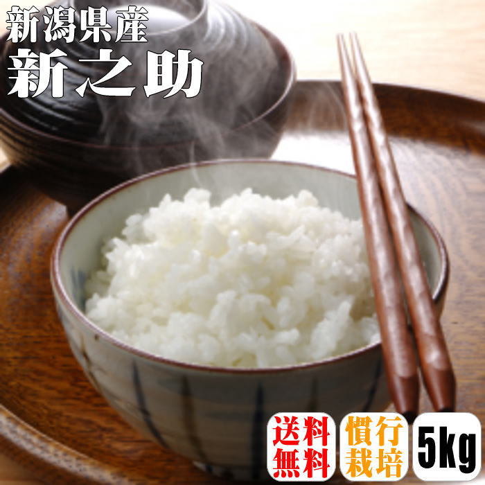 【送料無料】【令和5年産】新潟県産 新之助　5kg【北海道・沖縄県・離島は別途送料】 新之助 新潟県 29年 デビュー