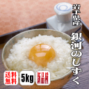 【送料無料】【令和6年産】【特別栽培米】岩手県産 銀河のしずく 5kg 【北海道・沖縄県・離島は別途送料】 28年デビュー 岩手県 銀河のしずく 新品種