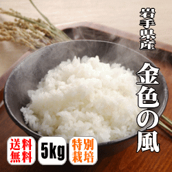 【送料無料】【令和3年産】岩手県江刺産 金色の風 5kg 【沖縄県・離島は別途送料】 29年デビュー 岩手県 江刺 金色の風 新品種