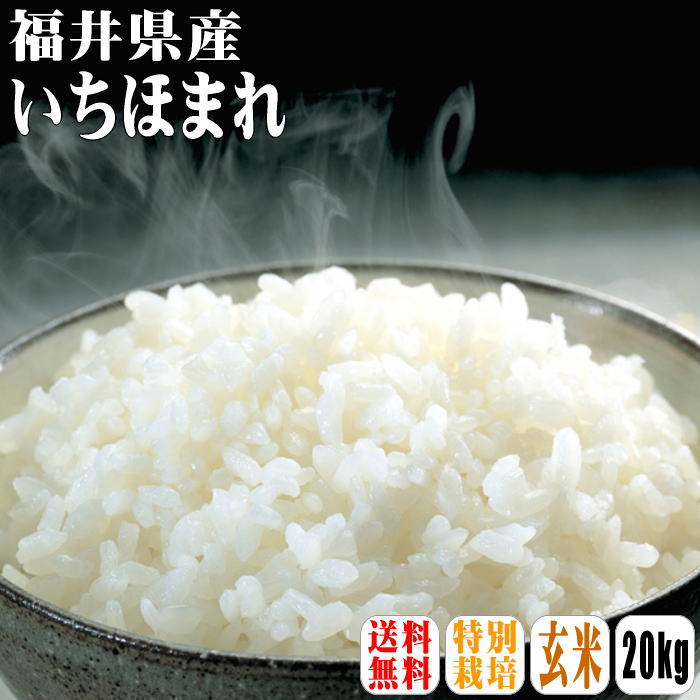 【送料無料】【特別栽培米】【令和5年産】福井県産 いちほまれ 玄米 20kg(5kg×4) 【北海道・沖縄県・離島は別途送料】保存食 30年デビュー 満天★青空レストラン しゃべくり007 福井県 いちほまれ 特別栽培米