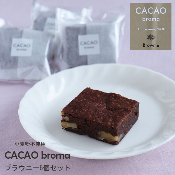 CACAO broma カカオブローマ 濃厚ブラウニー6個入 Bean to Bar クラフトチョコレート ギフトセット 小麦粉不使用 陸前高田市のサムネイル