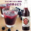 100%山ぶどう果汁 無添加 山のきぶどう 600ml お中元 お歳暮 敬老の日 贈り物 ギフト ヘルシー 鉄分 ビタミン 盛岡弁対象 2,800円
