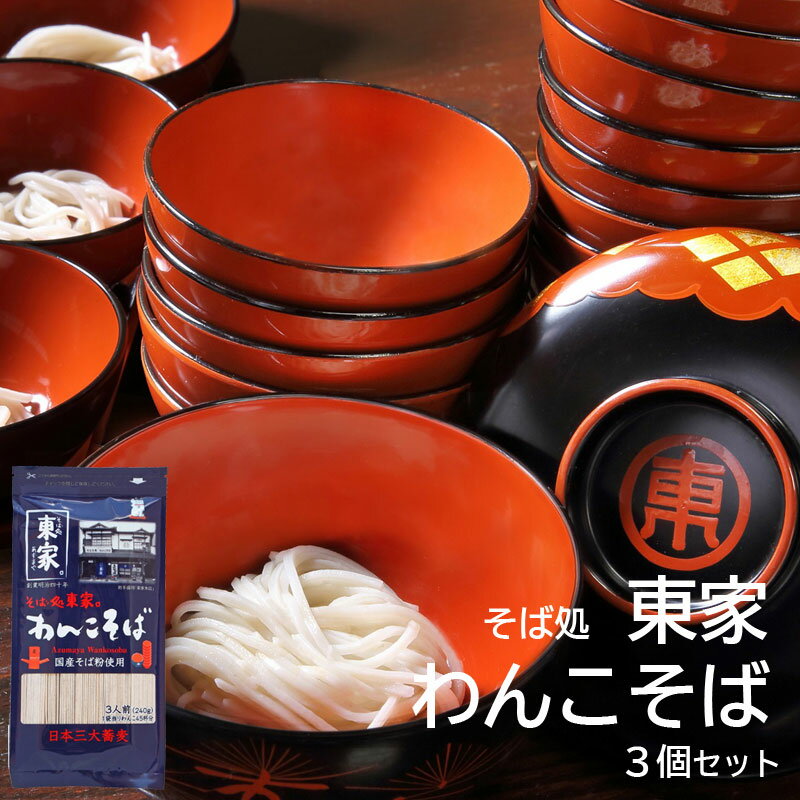 【ブラックフライデー セール商品】 そば処 東家 わんこそば 3個セット ポストインでお届け