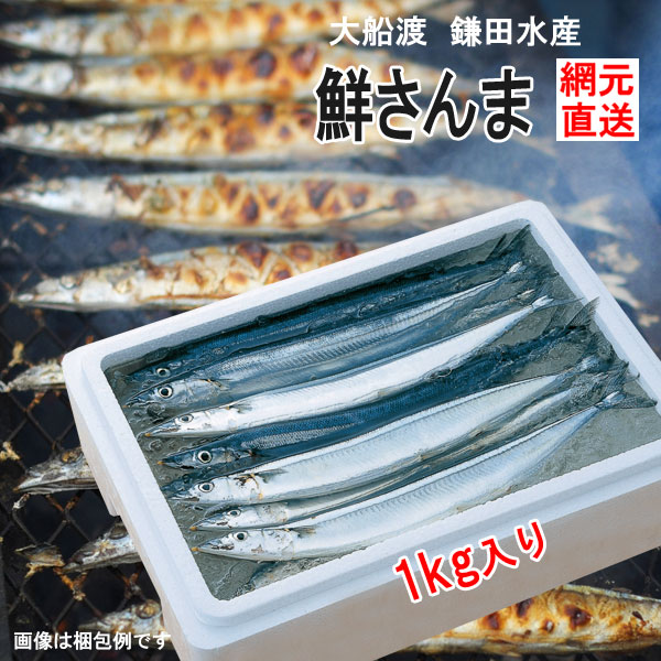 【予約受付】K12 三陸生サンマ 産地直送 鎌田水産 限定鮮さんま 1kg 8~12尾