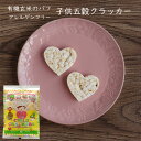 有機玄米90%使用のパフ 子供五穀クラッカー 10枚入り 10パックセット シリアルパフ 尾田川農園 アレルゲンフリー