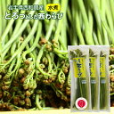 4月25日から受付開始 数量限定 期間限定 岩手 西和賀産 とろっとした西わらびの水煮 3袋・5袋セット
