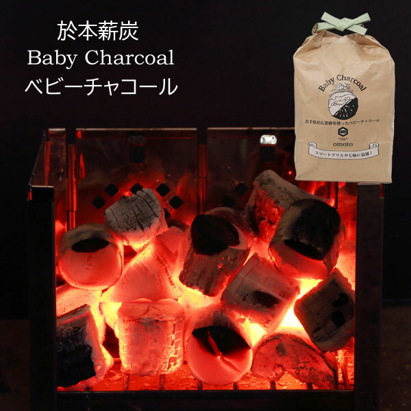 於本薪炭 ベビーチャコール Baby Charcoal 1kg 2袋セット キャンプ ソロ 手軽 小さい炭 防災