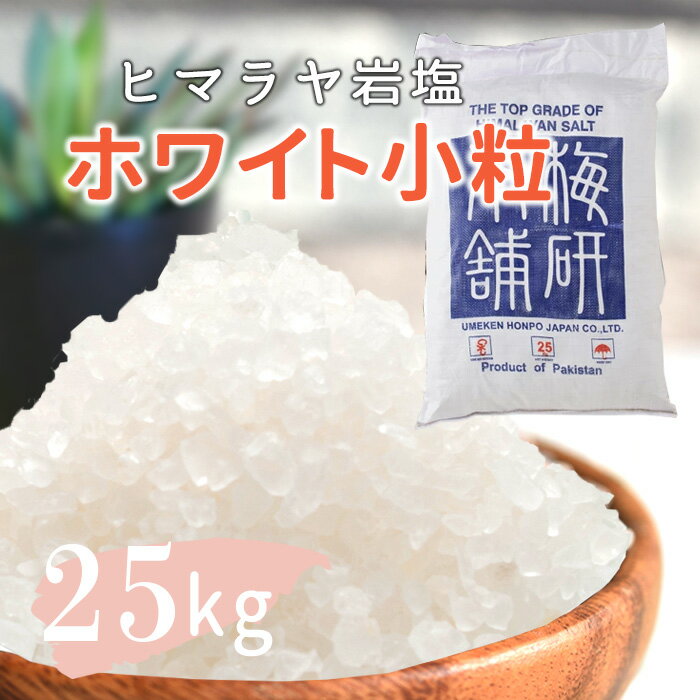 岩塩 ヒマラヤ岩塩 業務用 バスソルト 入浴剤 ...の商品画像