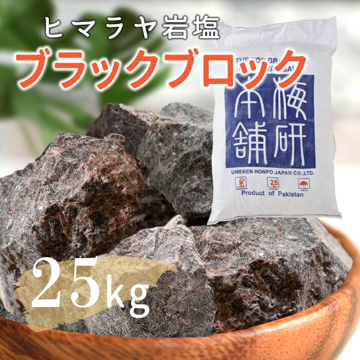 【送料無料】 ヒマラヤ岩塩 業務用 