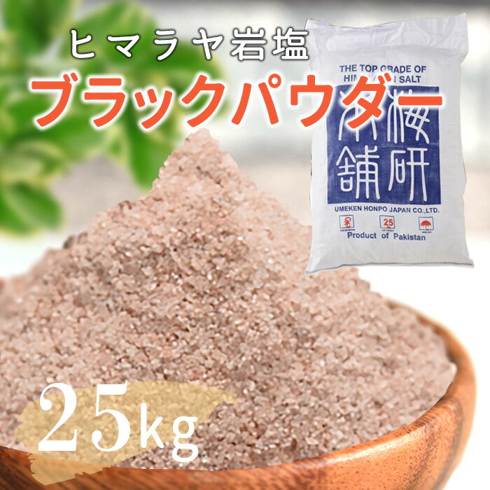 【送料無料】 ヒマラヤ岩塩 業務用 ブラック岩塩...の商品画像