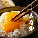 プレゼント 高級卵 黒高麗人参 長寿卵 (ちょうじゅらん) 【27個+割れ保証3個】【全国送料無料】 鹿児島県産 産地直送 高級たまご お歳暮 生卵 生たまご ...