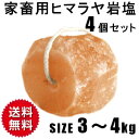 家畜用ヒマラヤ岩塩 3-4kg　4個セット 【アニマルソルト】【特大】【お徳用サイズ】【着後レビューで 100円OFFクーポン プレゼント】【送料無料】