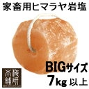 家畜用ヒマラヤ岩塩 7kg以上 家畜用ヒマラヤ岩塩 【アニマルソルト】 【超特大】【お徳用サイズ】 ミネラル補給 動物 家畜 牛 豚 馬 羊 ヤギ ペット 塩分 熱中症対策