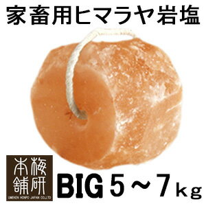 アニマルソルト　5-7kg　家畜用 ヒマ