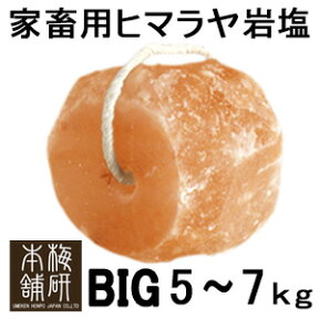 アニマルソルト　5-7kg　家畜用ヒマラヤ岩塩 【特大】【お徳用サイズ】 ロープ付き