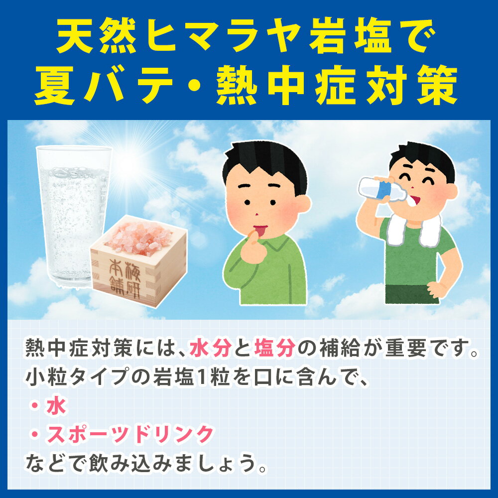 ☆ 1000円ポッキリ 9/6(火) 9:59迄 ☆【送料無料】 ヒマラヤ岩塩 食用 ピンクソルト 小粒 1kg ミル用 HACCP管理 BRC認証 ハラール認証 熱中症対策 ピンクソルト【今ならレビュークーポンプレゼント!】