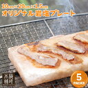 ヒマラヤ 岩塩 プレート 約200×100×15mm前後(角型) 5枚 【焼肉・焼き肉・BBQ・刺身盛り・寿司皿】 キャンプ グッズ ヒマラヤ岩塩 業務用 ベランピング グリル ごはん 七輪