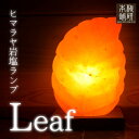 プレゼント ヒマラヤ岩塩ランプ リーフ型 岩塩 ランプ 照明 インテリア グッズ 間接 ベッドサイド 送料無料 プレゼント ギフト ライト 飾り 母の日 遅くな...