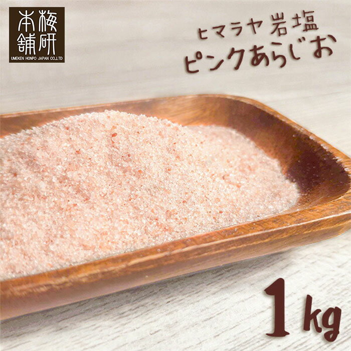 送料無料 はぎの食品 しじみのだし塩 160g×10個