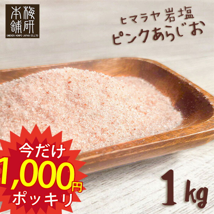 食塩 5kg SALT しお 業務用 大容量