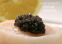 D&H caviar 　フレッシュオショートルドイツ産キャビア　フレッシュ オショートルキャビア100g