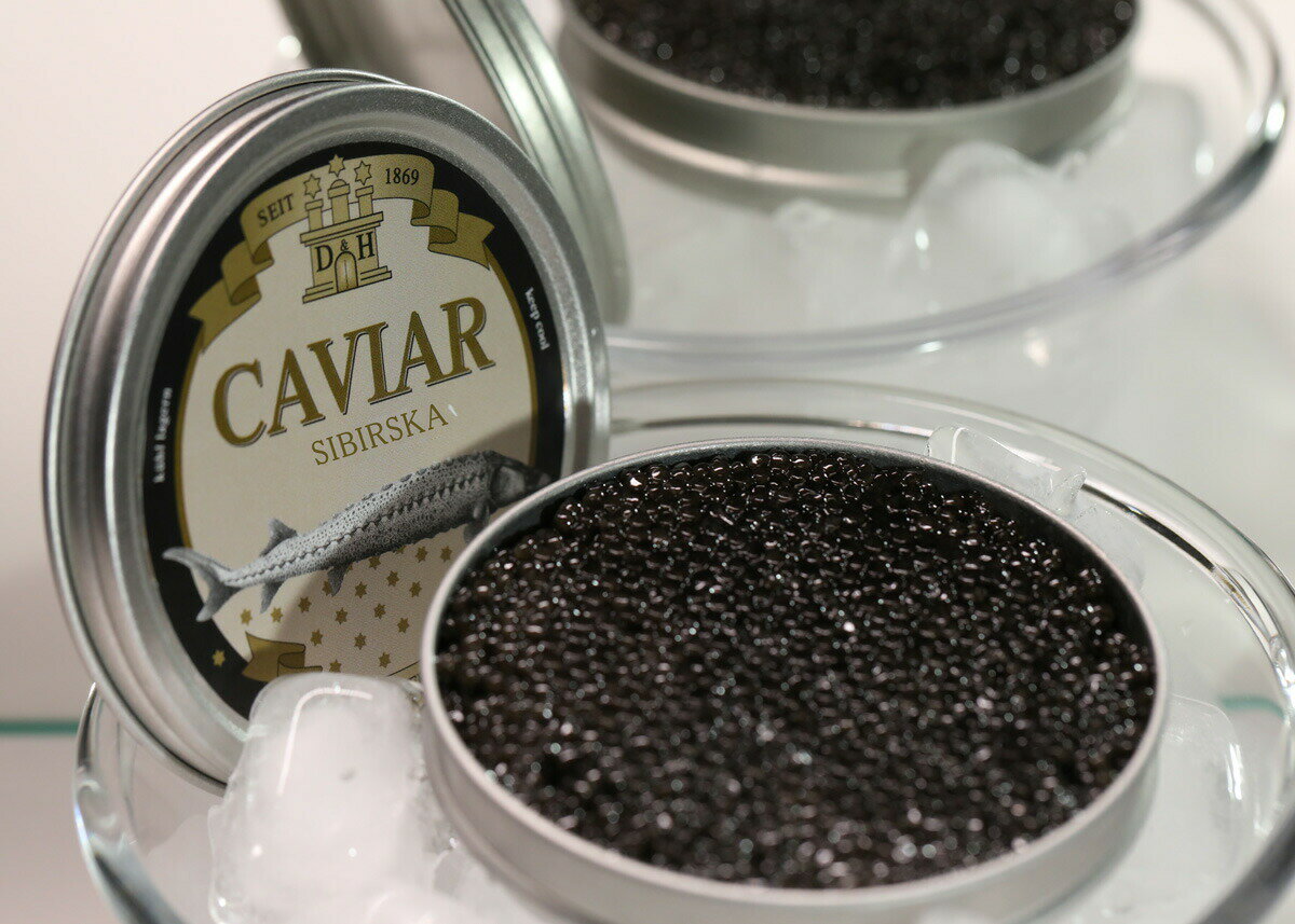 【シベリアンチョウザメの卵】フレッシュサイベリアンキャビア　D&H　caviar　フレッシュサイベリアンキャビア　缶100g6年熟成ドイツ産純正高級キャビア　お取り寄せグルメ　お洒落グルメ　贈り物　プレゼント　内祝　贈答用　手土産　お祝い　ギフト【送料無料】冷凍