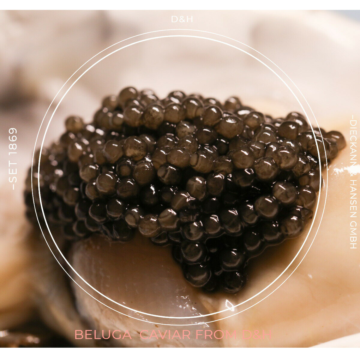 【キャビアの王様】D&H beluga caviarフレッシュベルーガキャビア　ドイツ産　最高品ラング　ベルーガキャビア50g【父の日　ギフト　プレゼント　お返し　お中元　お歳暮　パーティ】