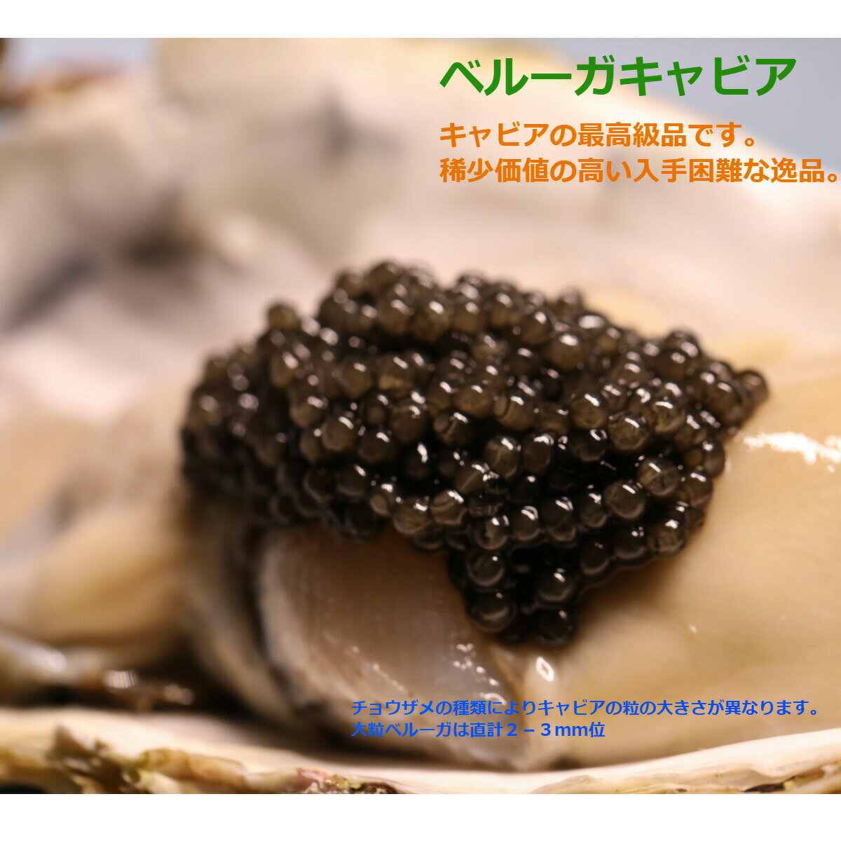 【数量限定　キャビアの王様】D&H caviar Beluga ベルーガキャビア　 ドイツ産　希少珍品　最高級ランクキャビア フ…