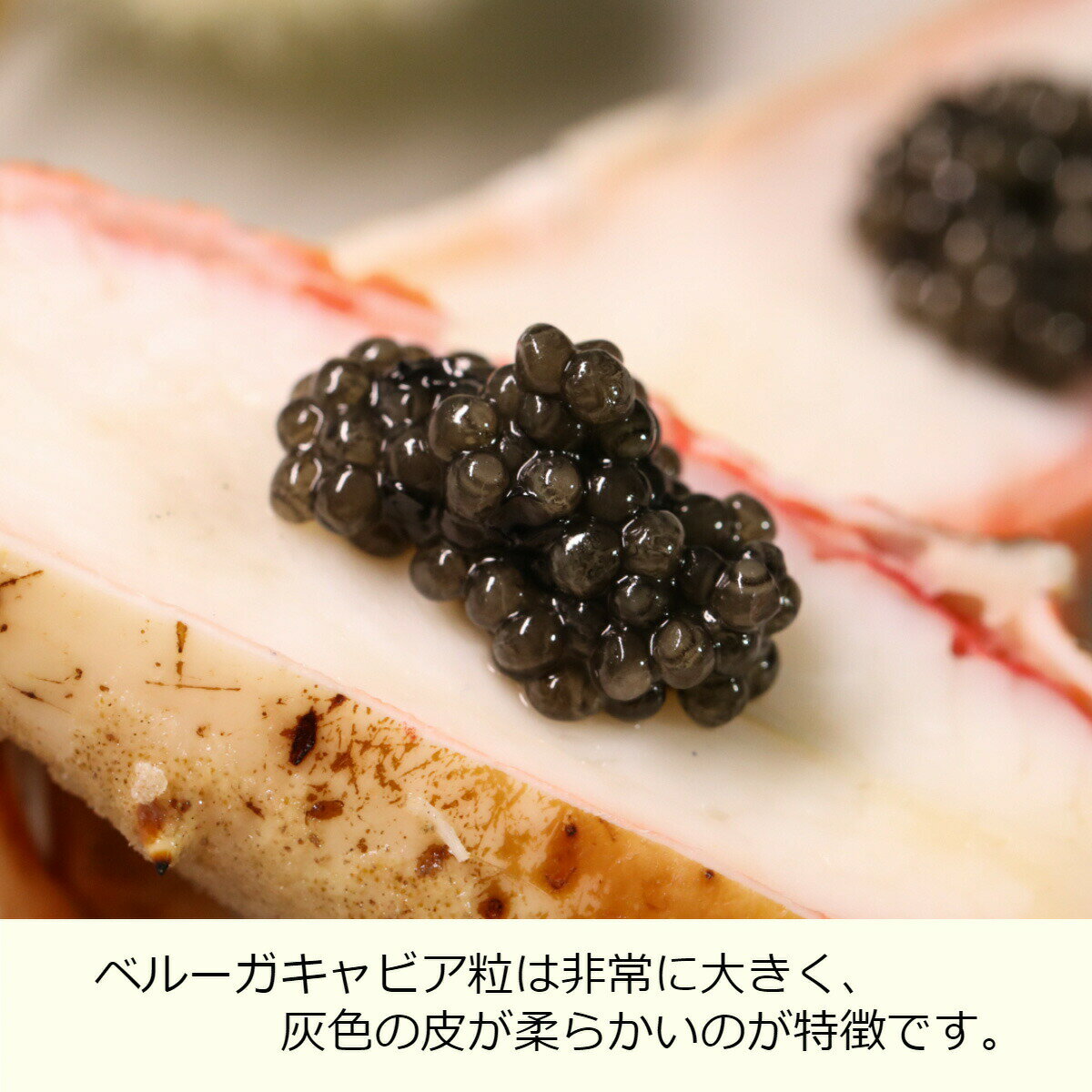 D&H　ブレミアム　ベルーガキャビア15g【最高ランク キャビア】