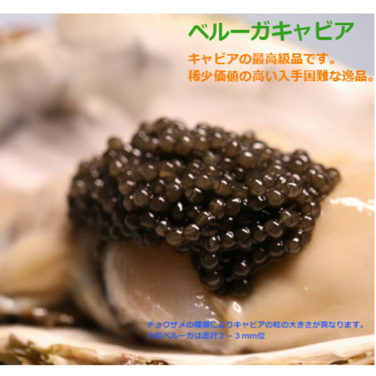 D&H　ブレミアム　ベルーガキャビア15g【最高ランク キャビア】