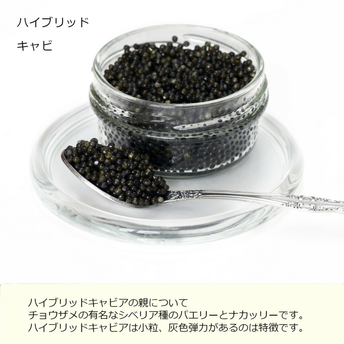 D&H Hybrid caviar ドイツ産　D&H社　純正キャビア ハ...