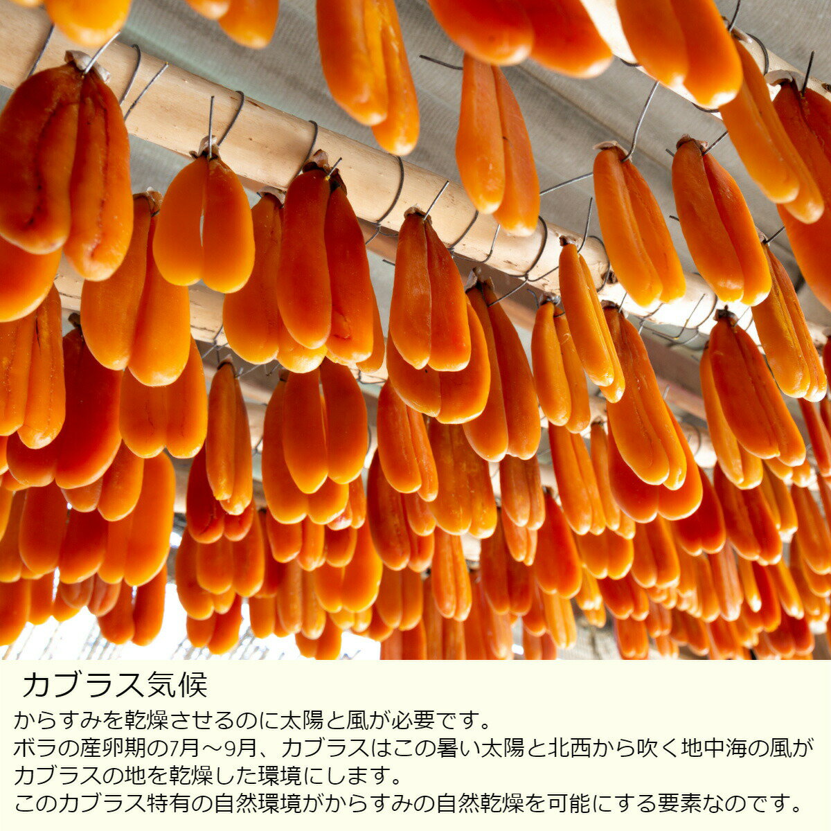 イタリア/サルディニア/ボラのカラスミ/ボラのからすみ約140g~150g