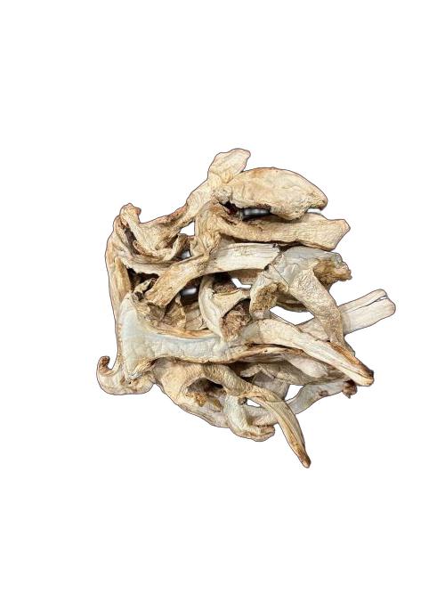 松茸 乾燥松茸 35g 雲南省シャングリラ産 最高級品 【新入荷】