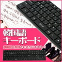 あす楽【並行輸入品】2色 DOK-101【USB キーボード...