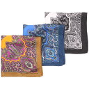 ETRO エトロ ポケットチーフ 1T710/5091 メンズ シルク シルク100% イタリア製 並行輸入品 ラッピング無料 送料無料 31884