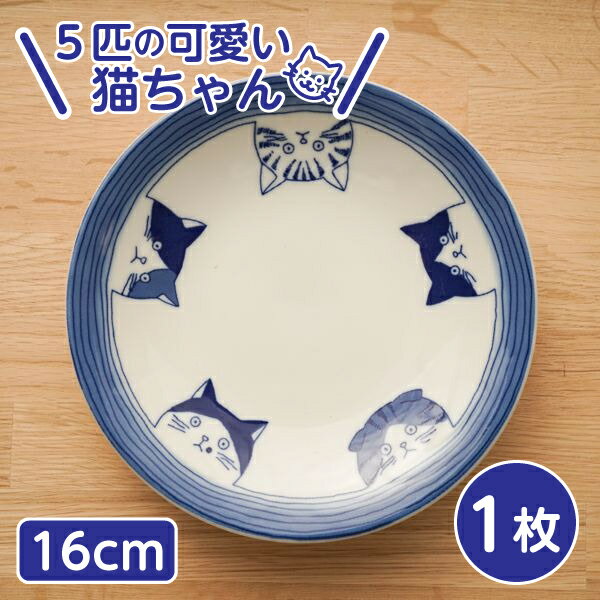 5cats 猫柄 取り皿 16cm 1枚 日本製 食器 ハチワレ ノラ ドラ ミケ スコティッシュ 中皿 刺身皿 おうちごはん SHICHITA ねこ 美濃焼 シチタ