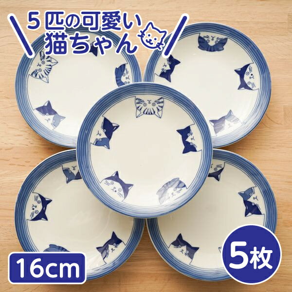 5cats 猫柄 取り皿 16cm 5枚 日本製 食器 送料無料 一部地域除 箱入 ハチワレ ノラ ドラ ミケ スコティッシュ 中皿 刺身皿 おうちごはん SHICHITA ねこ 美濃焼 シチタ