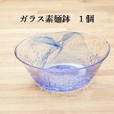 そうめん鉢 ガラス 食器 1個 流蒼 おしゃれ 素麺鉢 冷麺 冷や麦 ひやむぎ 日本製 箱無 業務用 店舗用