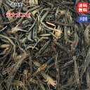 テナガエビ 高知産 天然 浜から直送 送料無料 北海道/沖縄/東北は別途送料 宇和海の幸問屋 愛媛百貨店