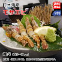 鳥取 境港 モサエビ 10尾×2p 約8-10cm/1尾 冷凍 甘エビを超える旨さ 幻のエビ 送料無料 北海道、沖縄、東北は別途送料 宇和海の幸問屋 トゲクロザエビ ガスエビ ドロエビ ガサエビ チャガスエビ ツチエビ ホンモサ ガラエビ