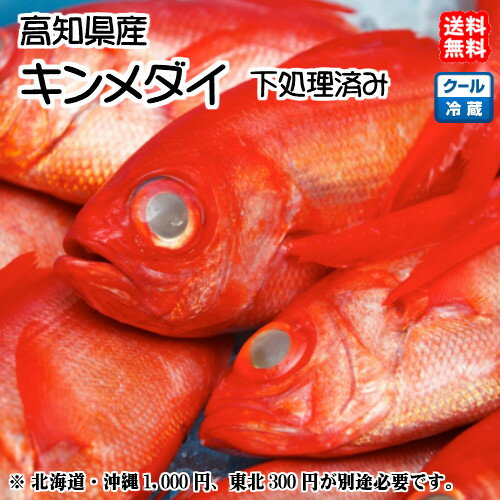 金目鯛 キンメダイ 原体800～1000gサイズ 1匹 高知県産 刺身 煮魚 焼魚 干物 下処理済み 送料無料 北海..