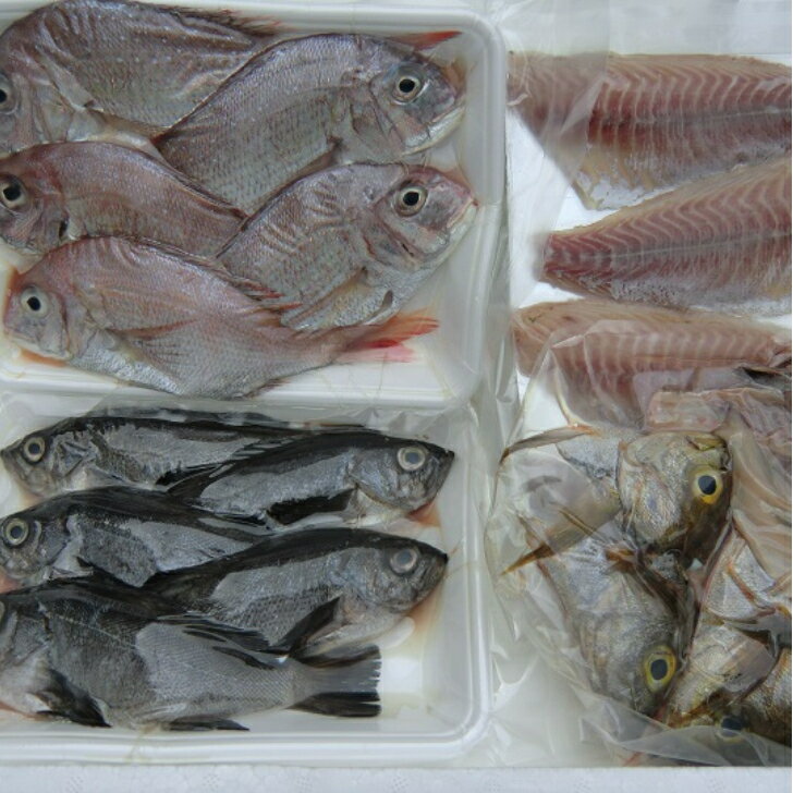 お手軽鮮魚セット 5人前 刺身/煮魚/焼魚用に下処理済み 旬鮮魚 浜から直送 送料込み 宇和海の幸問屋 愛媛百貨店