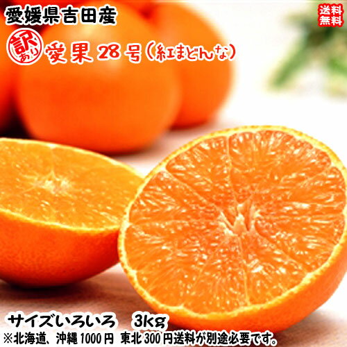 安い紅まどんな|訳ありなど!甘くて人気の美味しい紅まどんなの 安い紅まどんな|訳ありなど!甘くて人気の美味しい紅まどんなの