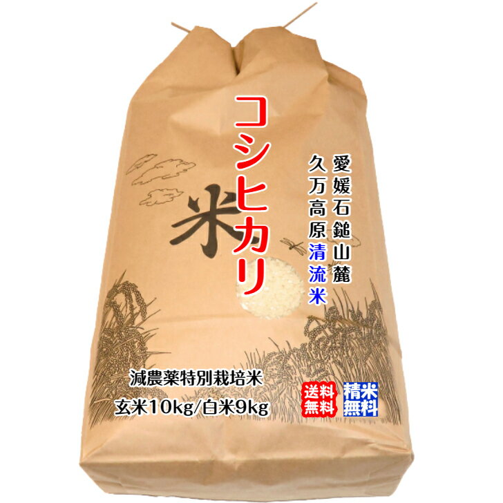 コシヒカリ 玄米10kg/白米9kg 2023年産 愛媛 石鎚山麓 久万高原 清流米 減農薬 特別栽培米 高原清流が育んだお米 百姓直送 送料無料 宇和海の幸問屋 愛媛百貨店