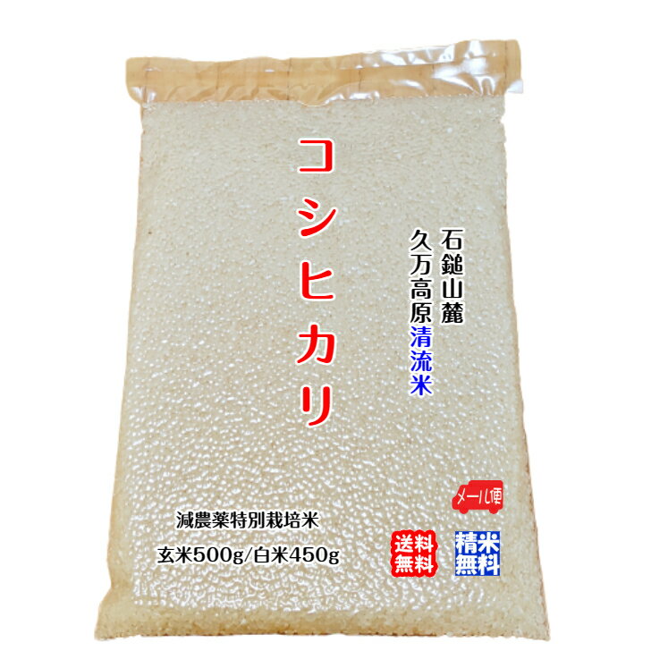 コシヒカリ 玄米500g/白米450g 2023年産 愛媛 石鎚山麓 久万高原 清流米 減農薬 特別栽培米 高原清流が育んだお米 百姓直送 メール便 送料無料 宇和海の幸問屋 愛媛百貨店