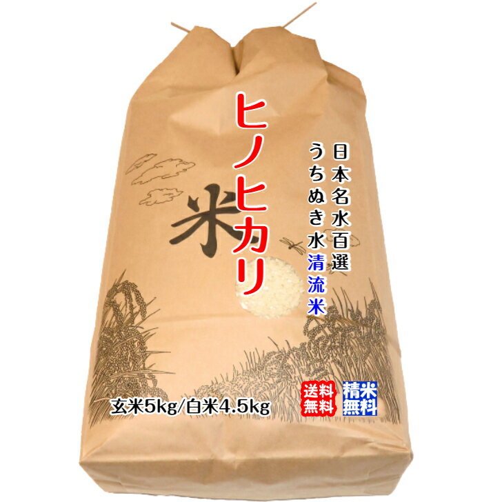 ヒノヒカリ 玄米5kg/白米4.5kg 2023年産 うちぬきで育てた清流米 百姓直送 送料無料 北海道・沖縄・東北は別途送料 宇和海の幸問屋 愛媛百貨店