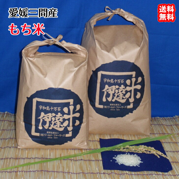   1.4kg 2023ǯ ɲ ֻ ã  ̺  ̳ƻ//̤ ³ι䲰